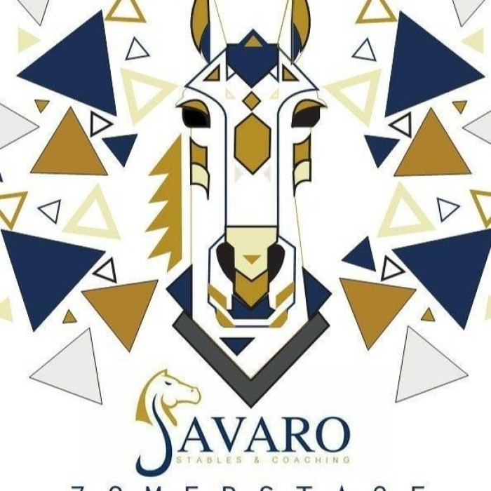 CLUBDAG DRESSUUR KLEINE GP MANEGE JAVARO LEVEL 3